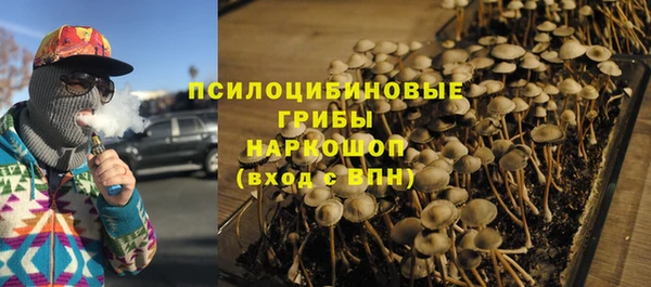 первитин Михайлов