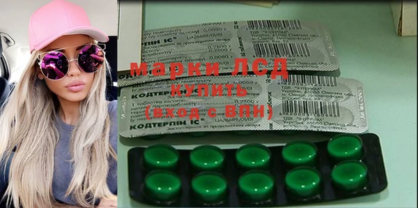 сатива Михайловка
