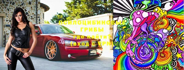 сатива Михайловка