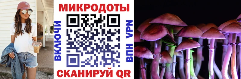 Псилоцибиновые грибы GOLDEN TEACHER  продажа наркотиков  Елизово 