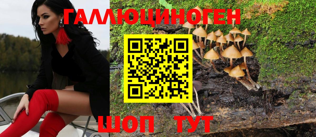 Псилоцибиновые грибы прущие грибы  Псилоцибиновые грибы ЛСД  где купить наркотик  Елизово 