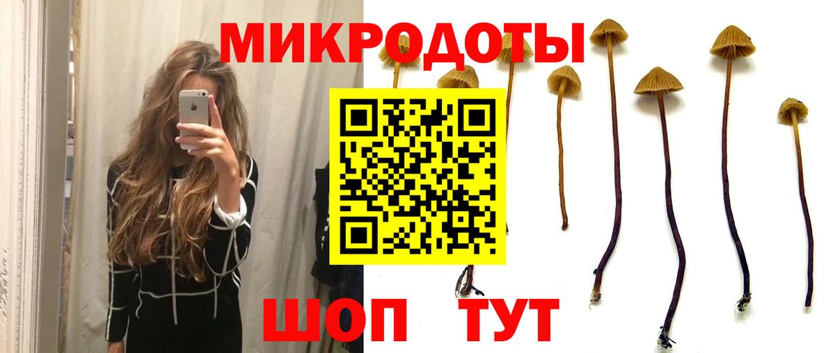 Галлюциногенные грибы Psilocybine cubensis Елизово